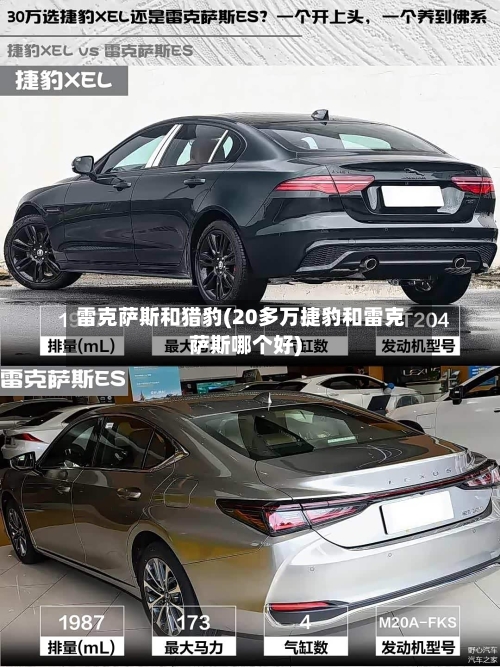 雷克萨斯和猎豹(20多万捷豹和雷克萨斯哪个好)-第3张图片