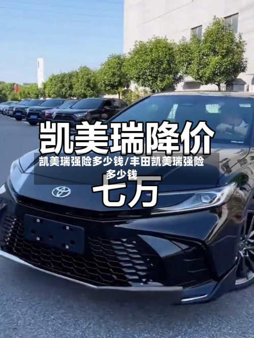 凯美瑞强险多少钱/丰田凯美瑞强险多少钱-第3张图片