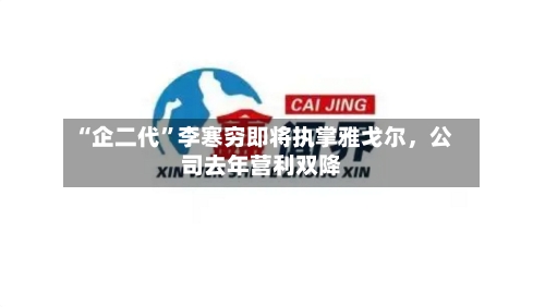 “企二代	”李寒穷即将执掌雅戈尔，公司去年营利双降-第1张图片