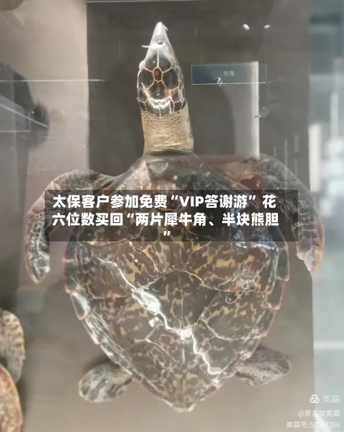 太保客户参加免费“VIP答谢游” 花六位数买回“两片犀牛角、半块熊胆	”-第1张图片