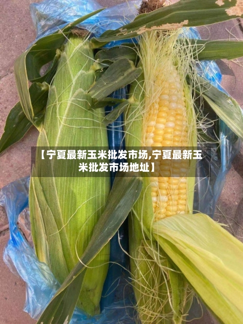 【宁夏最新玉米批发市场,宁夏最新玉米批发市场地址】-第2张图片
