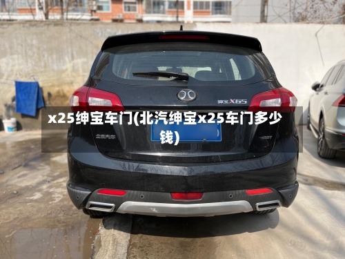 x25绅宝车门(北汽绅宝x25车门多少钱)-第1张图片