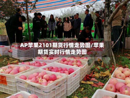 AP苹果2101期货行情走势图/苹果期货实时行情走势图-第1张图片