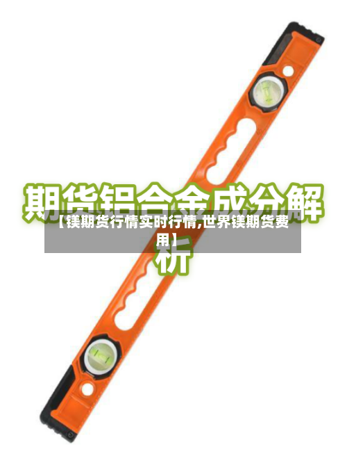 【镁期货行情实时行情,世界镁期货费用】-第1张图片