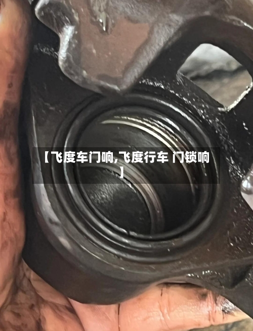 【飞度车门响,飞度行车 门锁响】-第2张图片
