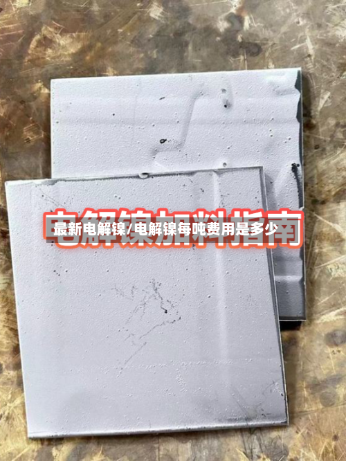 最新电解镍/电解镍每吨费用是多少-第1张图片