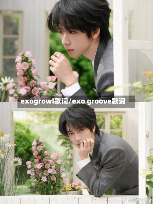 exogrowl歌词/exo groove歌词-第3张图片