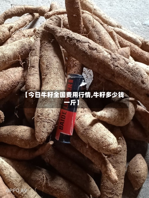 【今日牛籽全国费用行情,牛籽多少钱一斤】-第2张图片
