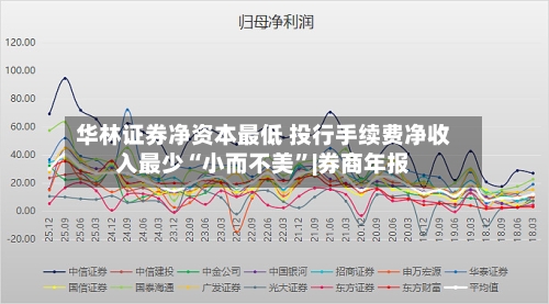 华林证券净资本最低 投行手续费净收入最少“小而不美”|券商年报-第1张图片