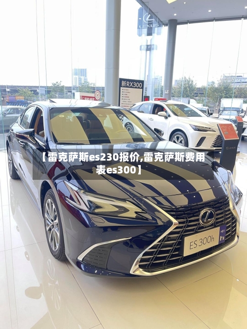 【雷克萨斯es230报价,雷克萨斯费用表es300】-第3张图片