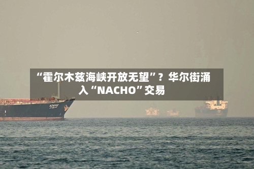“霍尔木兹海峡开放无望”？华尔街涌入“NACHO”交易-第1张图片