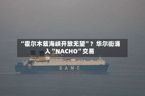 “霍尔木兹海峡开放无望”？华尔街涌入“NACHO”交易-第3张图片