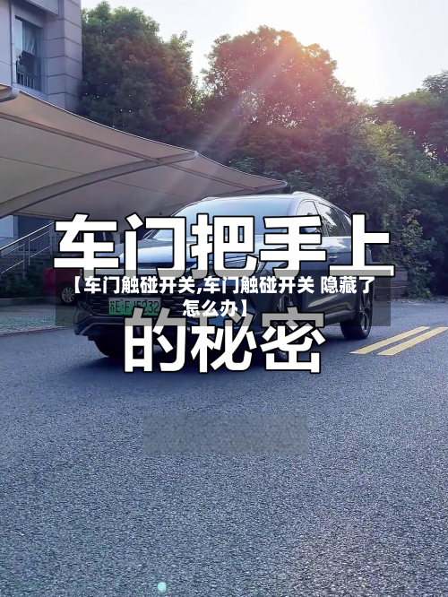 【车门触碰开关,车门触碰开关 隐藏了怎么办】-第3张图片