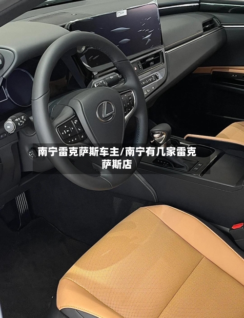 南宁雷克萨斯车主/南宁有几家雷克萨斯店-第1张图片
