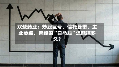 双鹭药业：炒股巨亏、信托暴雷、主业萎缩，曾经的“白马股	”还能撑多久？-第2张图片