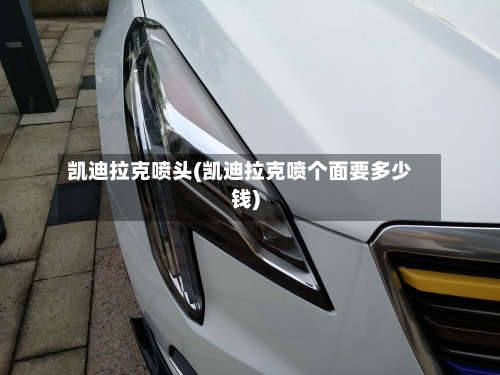 凯迪拉克喷头(凯迪拉克喷个面要多少钱)-第2张图片