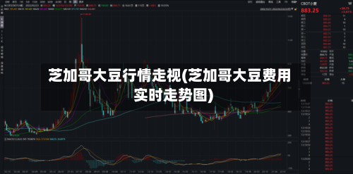 芝加哥大豆行情走视(芝加哥大豆费用实时走势图)-第2张图片