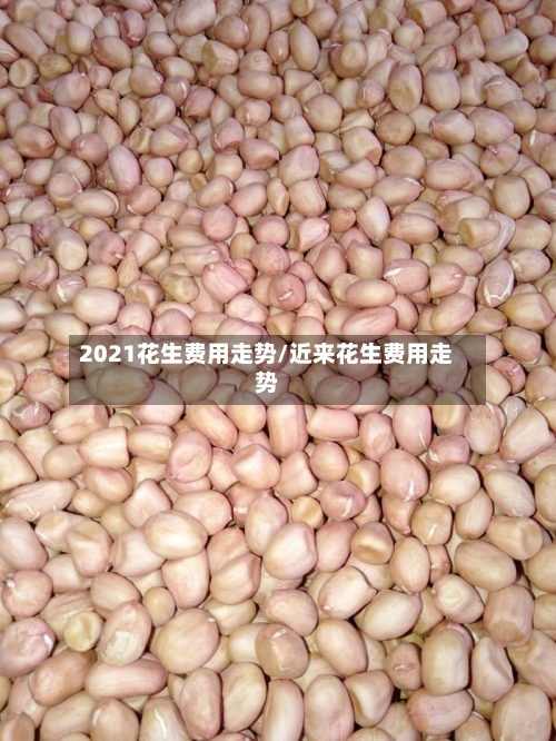 2021花生费用走势/近来花生费用走势-第3张图片