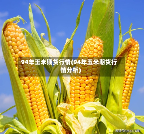 94年玉米期货行情(94年玉米期货行情分析)-第3张图片