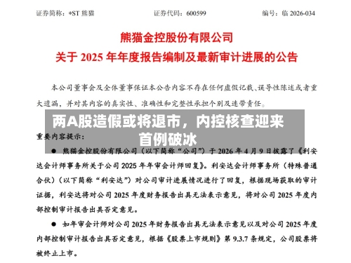 两A股造假或将退市	，内控核查迎来首例破冰-第1张图片