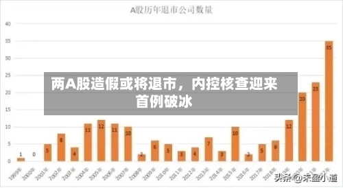 两A股造假或将退市，内控核查迎来首例破冰-第2张图片