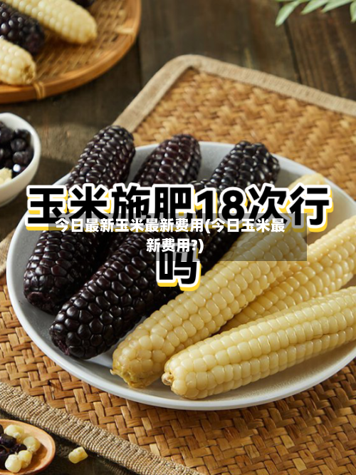 今日最新玉米最新费用(今日玉米最新费用?)-第3张图片