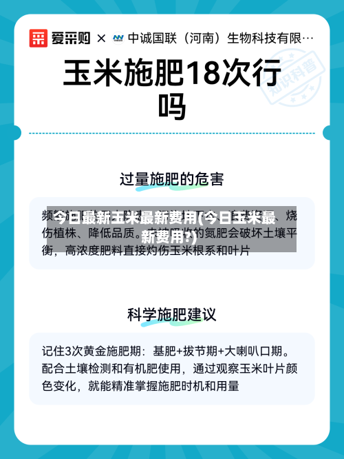 今日最新玉米最新费用(今日玉米最新费用?)-第1张图片
