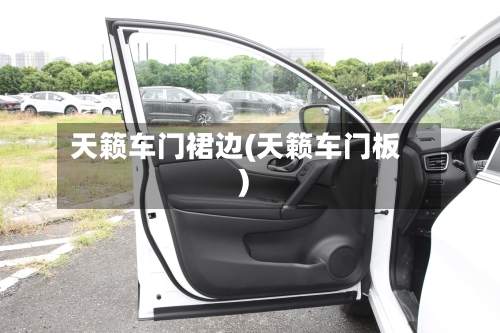 天籁车门裙边(天籁车门板)-第3张图片