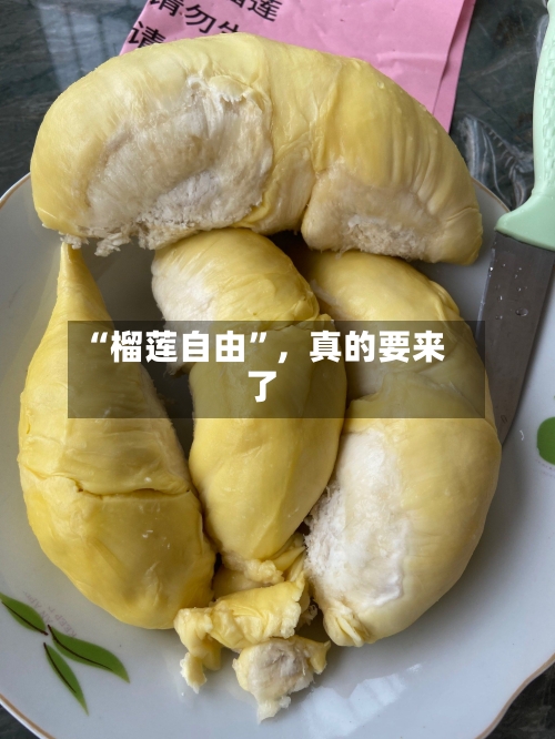 “榴莲自由	”	，真的要来了-第2张图片