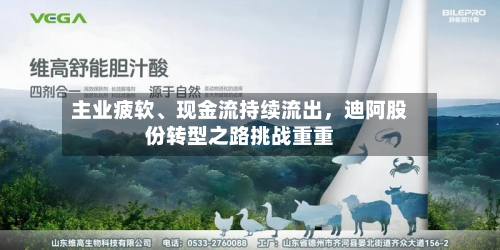 主业疲软	、现金流持续流出，迪阿股份转型之路挑战重重-第2张图片