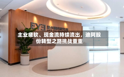 主业疲软、现金流持续流出，迪阿股份转型之路挑战重重-第1张图片