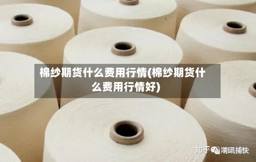 棉纱期货什么费用行情(棉纱期货什么费用行情好)-第3张图片