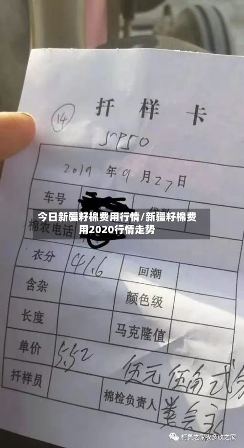 今日新疆籽棉费用行情/新疆籽棉费用2020行情走势-第1张图片