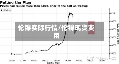 伦镍实际行情/伦镍现货费用-第2张图片