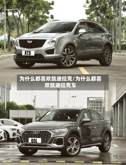 为什么都喜欢凯迪拉克/为什么都喜欢凯迪拉克车-第2张图片