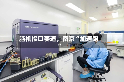 脑机接口赛道	，南京“加速跑	”-第2张图片