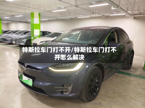 特斯拉车门打不开/特斯拉车门打不开怎么解决-第2张图片