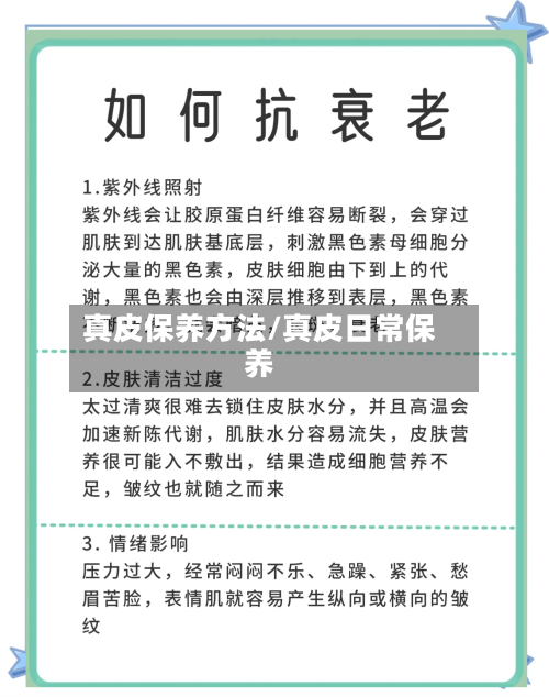 真皮保养方法/真皮日常保养-第1张图片
