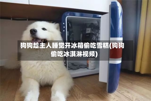 狗狗趁主人睡觉开冰箱偷吃雪糕(狗狗偷吃冰淇淋视频)-第1张图片