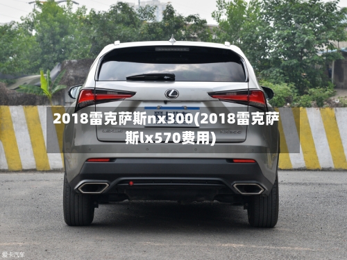 2018雷克萨斯nx300(2018雷克萨斯lx570费用)-第1张图片