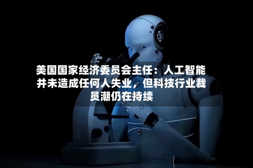 美国国家经济委员会主任：人工智能并未造成任何人失业，但科技行业裁员潮仍在持续-第2张图片