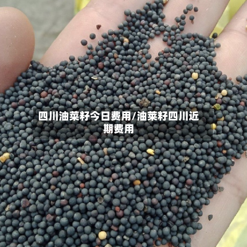 四川油菜籽今日费用/油莱籽四川近期费用-第1张图片
