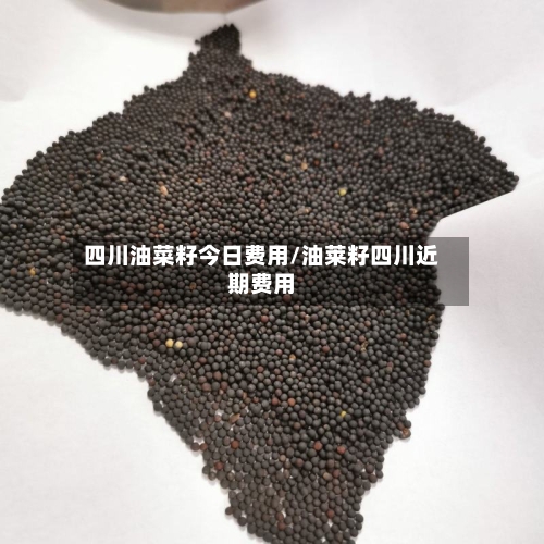 四川油菜籽今日费用/油莱籽四川近期费用-第2张图片