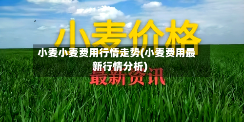 小麦小麦费用行情走势(小麦费用最新行情分析)-第1张图片