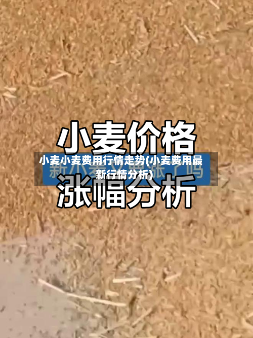 小麦小麦费用行情走势(小麦费用最新行情分析)-第2张图片