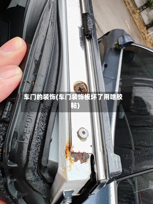 车门的装饰(车门装饰板坏了用啥胶粘)-第2张图片