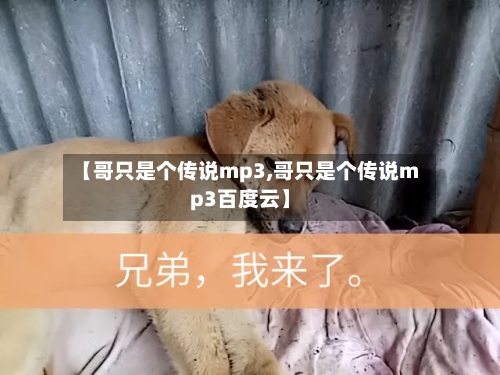 【哥只是个传说mp3,哥只是个传说mp3百度云】-第2张图片