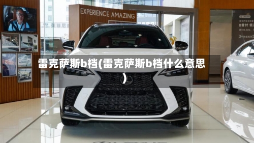 雷克萨斯b档(雷克萨斯b档什么意思)-第1张图片