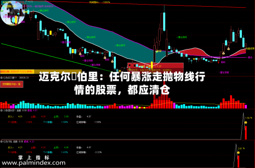 迈克尔・伯里：任何暴涨走抛物线行情的股票	，都应清仓-第1张图片