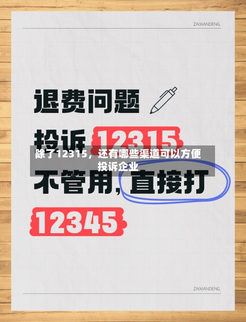 除了12315，还有哪些渠道可以方便投诉企业-第2张图片